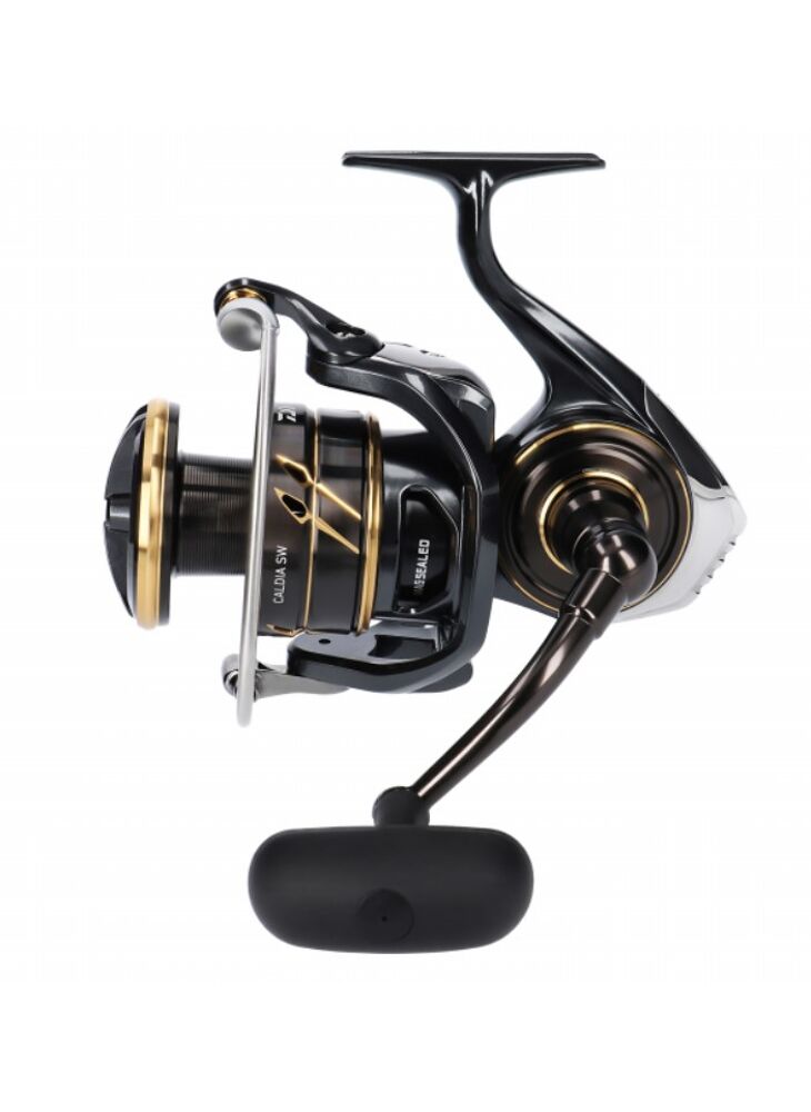 Daiwa 23 Caldia SW 6000D-H